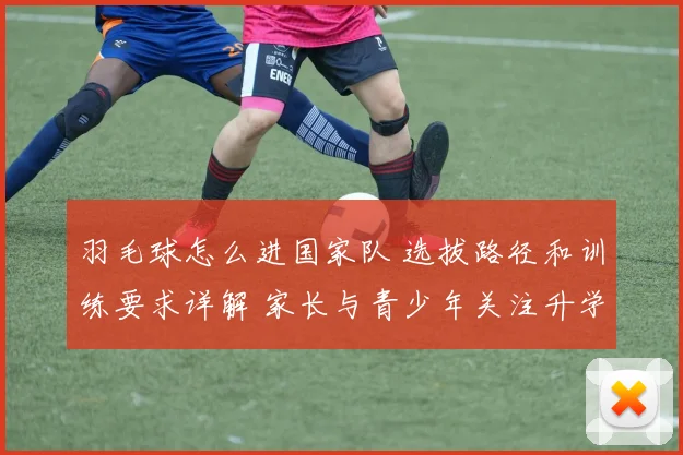 羽毛球怎么进国家队 选拔路径和训练要求详解 家长与青少年关注升学就业新方向